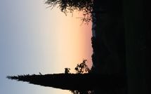 Photo submitted by guest of Podere Orietta