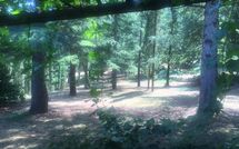 Photo submitted by guest of Palazzo Rosadi