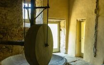 Photo submitted by guest of Podere Torremozza