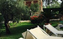 Photo submitted by guest of Isidoro