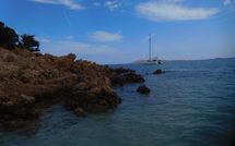 Photo submitted by guest of Isola Bella