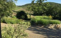 Photo submitted by guest of Villa Vertine