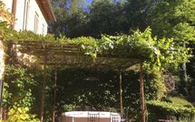 Photo submitted by guest of Molino Santa Lucia