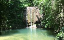 Photo submitted by guest of Molino Santa Lucia