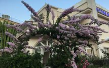 Photo submitted by guest of Cantone Bay