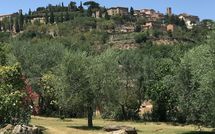 Photo submitted by guest of Villa Ardene