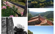 Photo submitted by guest of Tribbiano