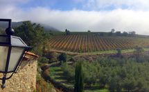 Photo submitted by guest of Villa Nova