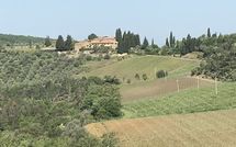 Photo submitted by guest of Fattoria di Quercia al Poggio