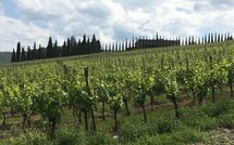 Photo submitted by guest of Casalta di Pesa