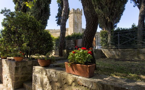 Villa Piazza Della Fortezza: Tree, Wall, Woody Plant, Architecture, Botany, Plant, Leaf, Trunk, Stone Wall, Landscape