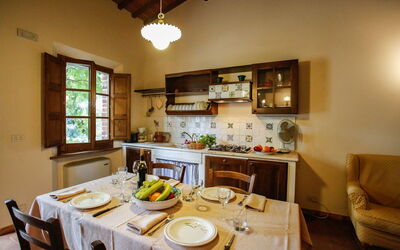 Accommodation:&nbsp;Paulonia