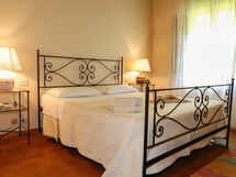 Accommodation:&nbsp;Paulonia