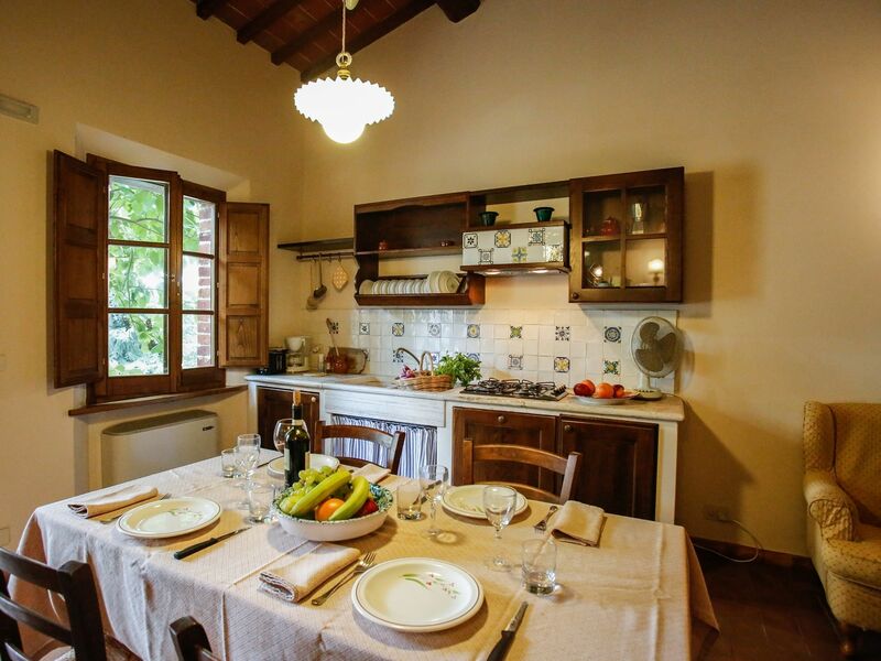 Accommodation:&nbsp;Paulonia
