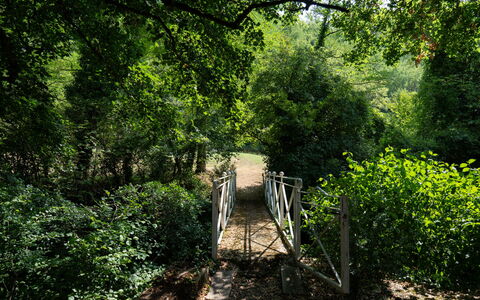 Villa Paola: Leaf, Branch, Green, Natural Environment, Tree, Nature, Wood, Vegetation, Natural Landscape, Forest