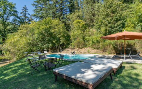 Villa Paola: Property, Real Estate, Nature Reserve, Tree, Table, Grass, House, Home, Furniture, Leisure