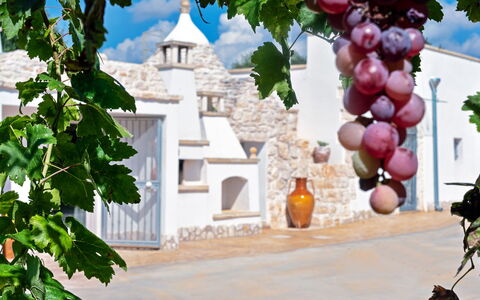 Trulli Itaka: Property, Arch, Architecture, Plant, Real Estate, Vitis, House, Tree