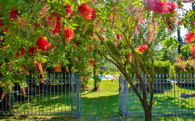 Tenuta Valente