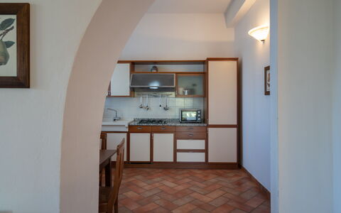 rocche-di-valiano-chianti-castelnuovo-berardenga-multiproprietà-geranio-kitchen