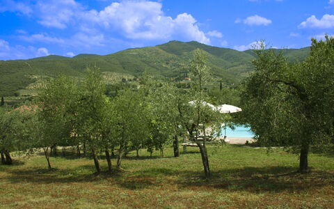 Collina dei Fiori