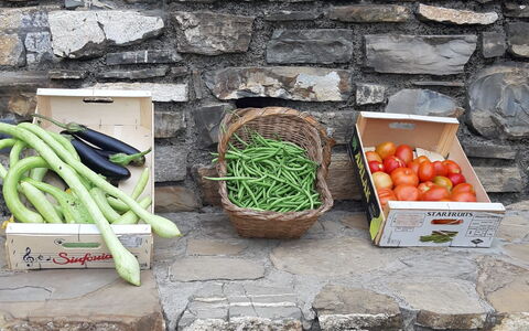 Casa Ilaria - Diano Marina: Food, Ingredient, Natural Foods, Wood, Public Space, Grass