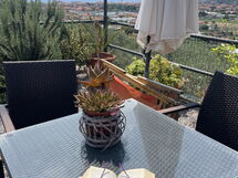 Casa Ilaria - Diano Marina