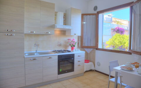 Accommodation:&nbsp;Flowers Of Andora - Rose