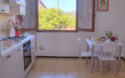 Accommodation:&nbsp;Flowers Of Andora - Rose