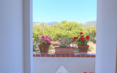 Accommodation:&nbsp;Flowers Of Andora - Rose