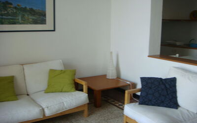 Accommodation:&nbsp;Agave