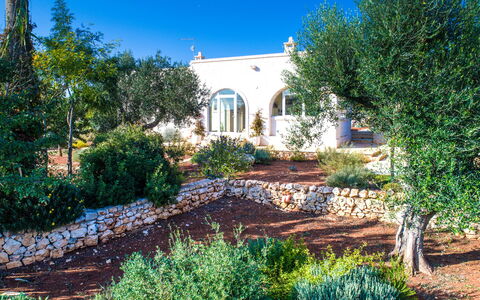 Villa Cristina: Property, Real Estate, Home, House, Building, Garden, Tree, Yard, Estate, Landscaping