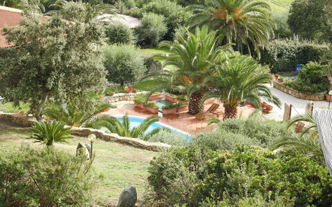 Residence Villa Smeralda: Plant, Plant Community, Building, Arecales, Tree, Land Lot, Grass, Terrestrial Plant, Biome, Natural Landscape