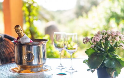Accommodation:&nbsp;Residence Villa Smeralda 6