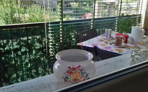 Corallo: Table, Home, Tableware, Furniture, House, Cup, Garden, Glass, Serveware, Plant