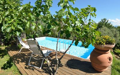 Bettina!: Property, Tree, Plant, Real Estate, Leisure, Vacation, House, Swimming Pool, Flower, Estate