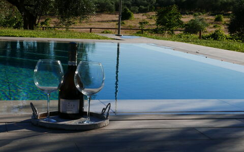 Agriturismo La Pieve: Water, Swimming Pool, Tree, Leisure, Vacation, Water Feature, Landscape, Plant, Glass, House