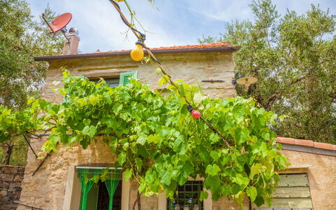 Country Home Il Passatempo: Tree, Property, Plant, Leaf, Flower, Woody Plant, House, Real Estate, Window, Home