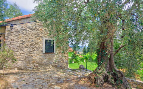 Country Home Il Passatempo: Tree, Property, House, Wall, Real Estate, Cottage, Woody Plant, Plant, Land Lot, Rural Area