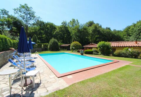 Villa le Balze: Plant, Sky, Property, Swimming Pool, Shade, Tree, Water, Chair, Grass, Leisure