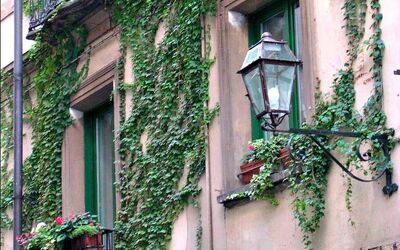 San Domenico: Green, Property, Neighbourhood, Wall, House, Building, Architecture, Window, Facade, Tree