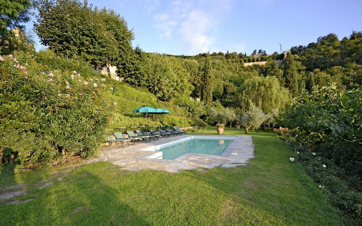 Swimming pool and garden