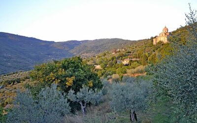 Panoramic view