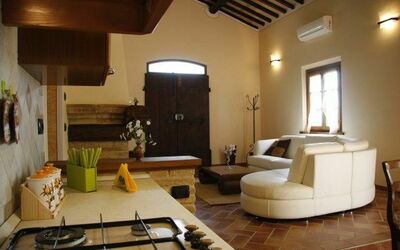 Living room and main entrance
