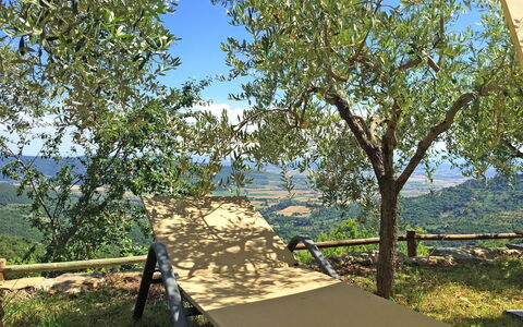 Villa Del Sole: Tree, Woody Plant, Plant, Nature Reserve, Canoe Birch, Real Estate, Plane, Table, Shade