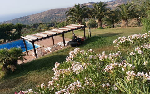 Villa Ivoni: Flower, Plant, Sky, Mountain, Plant Community, Botany, Tree, Natural Environment, Natural Landscape, Land Lot