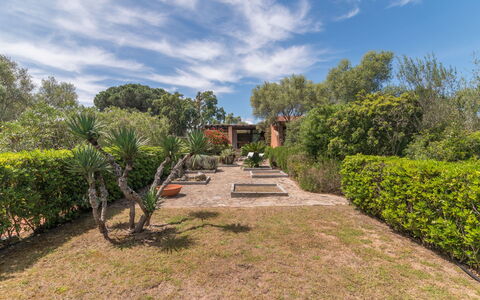 Dalila: Cloud, Plant, Sky, Natural Landscape, Tree, Grass, Landscape, Shrub, House, Leisure