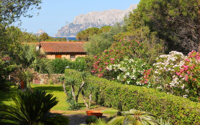 Dalila - Olbia, Sardinia, Italy