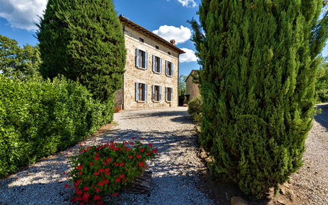 Bazzani Apartments In Siena: Cloud, Plant, Sky, Property, Window, Building, Natural Landscape, Road Surface, Architecture, Tree