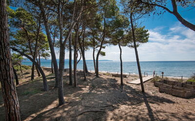 Follonica 250