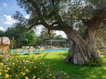 Favola Dei Trulli - Lamia Vite